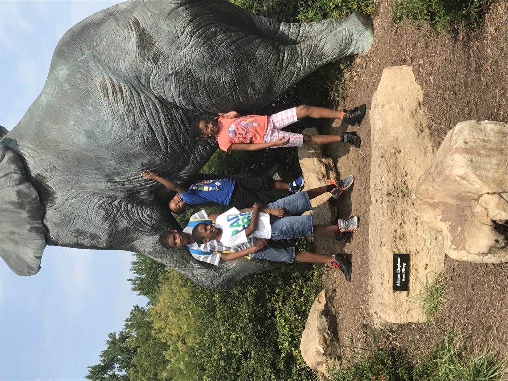 Things To Do On Spring Break With Kids In St. Louis Alicia's Domain